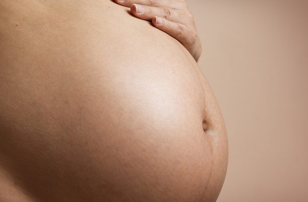 pregnant, gestation, pregnant pictures-2635034.jpg